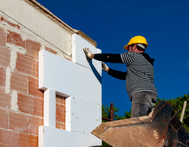 Best Insulation for New Construction  in Skidmore, TX