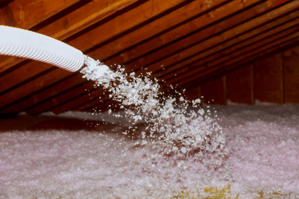 Best Insulation Repair Services  in Skidmore, TX