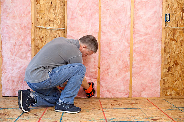 Best Commercial Insulation Contractor  in Skidmore, TX