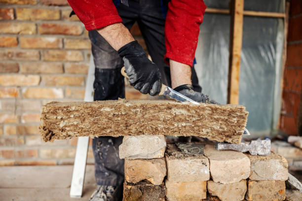 Best Insulation Replacement Services  in Skidmore, TX