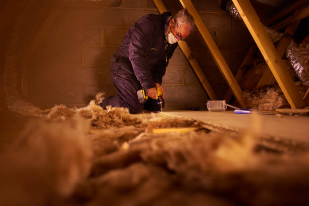 Best Insulation Repair Services  in Skidmore, TX